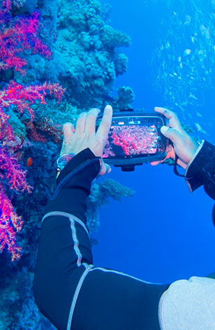Evento Internacional de Fotografía Subacuática 2025 